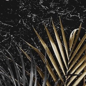 Meet your Posher, Ethan